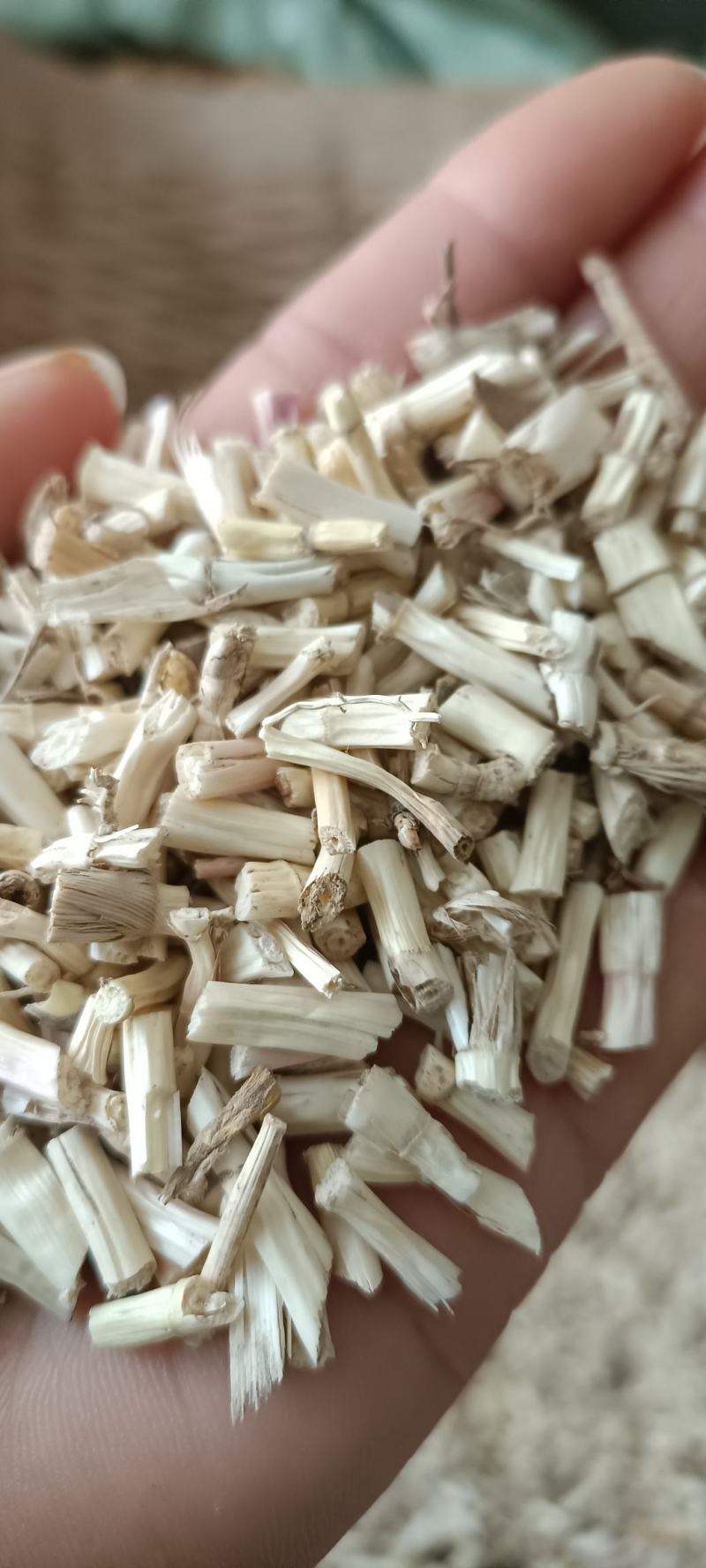 白茅根，野生无硫白毛根，货源充足，大货供应