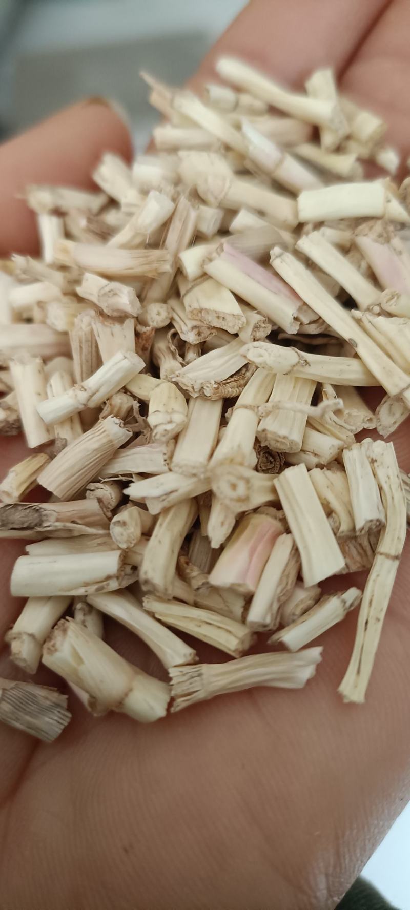 白茅根，野生无硫白毛根，货源充足，大货供应