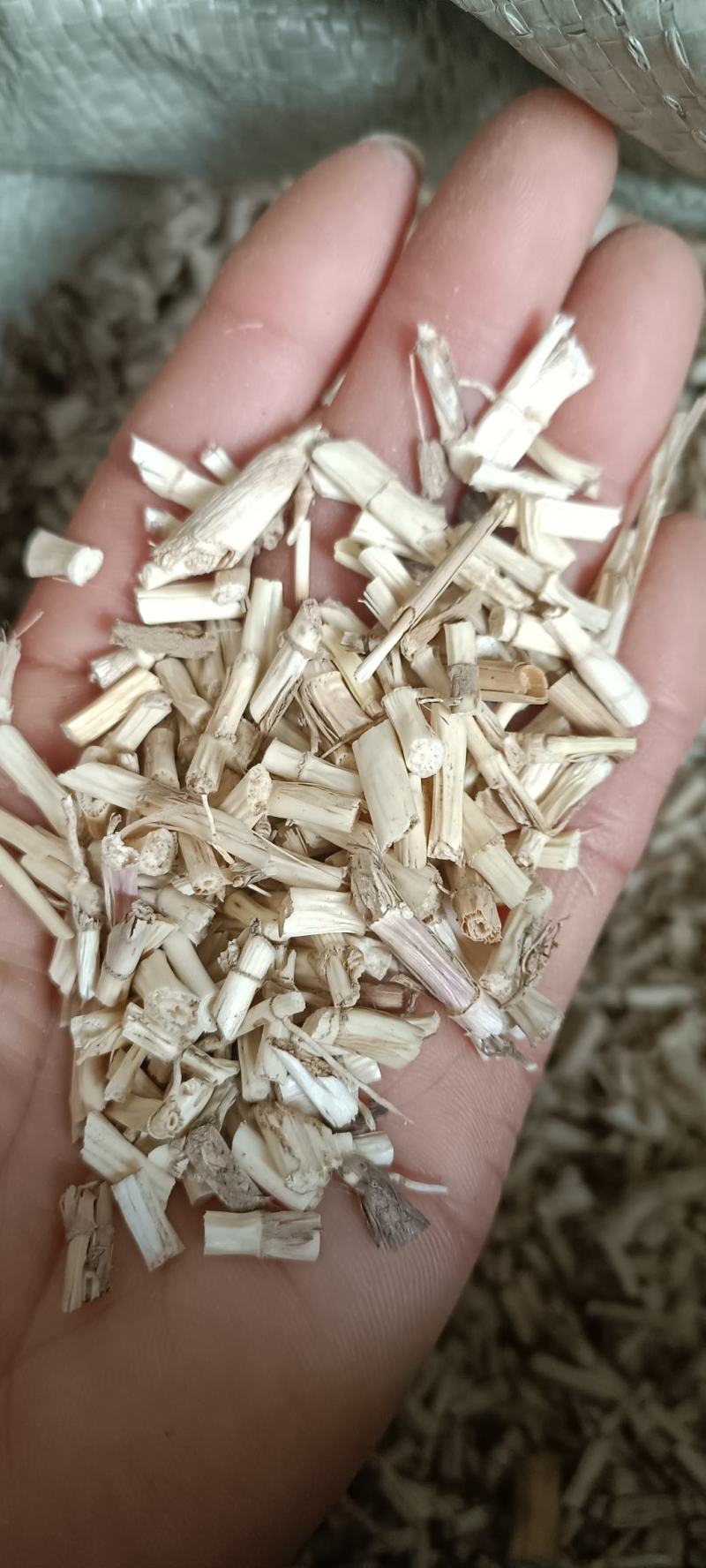 白茅根，野生无硫白毛根，货源充足，大货供应