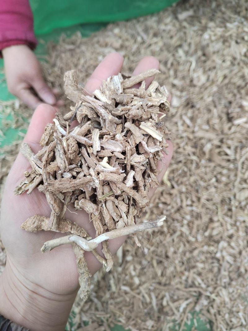 地骨皮，枸杞根，中药材地骨皮，免费打粉，地骨皮，野生