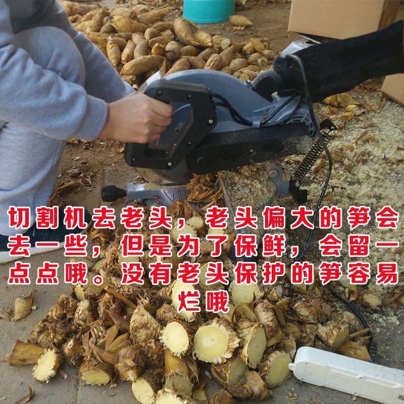 2025春笋现挖现发野生苗笋毛笋现挖黄泥笋鲜笋新鲜蔬菜