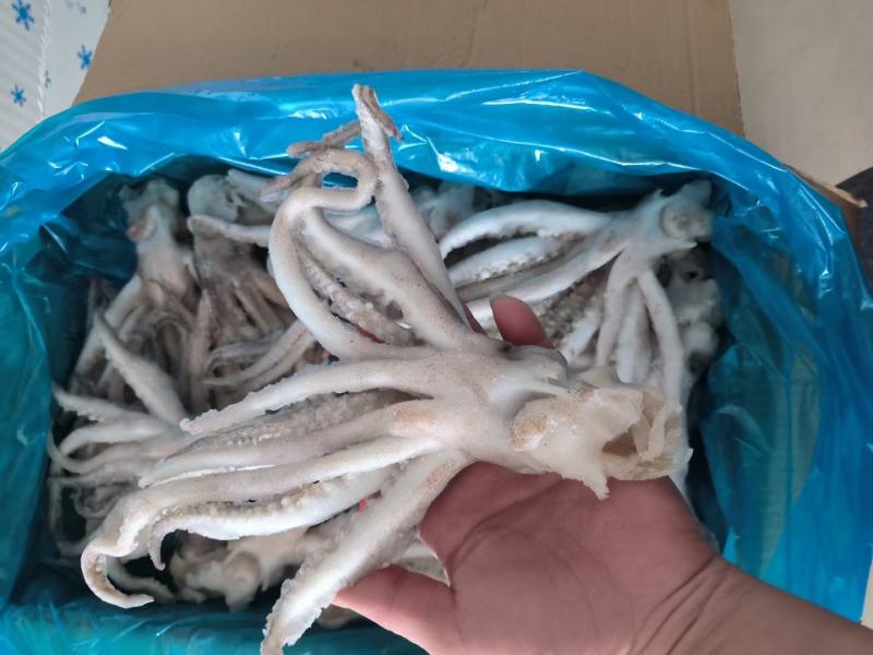 鱿鱼头