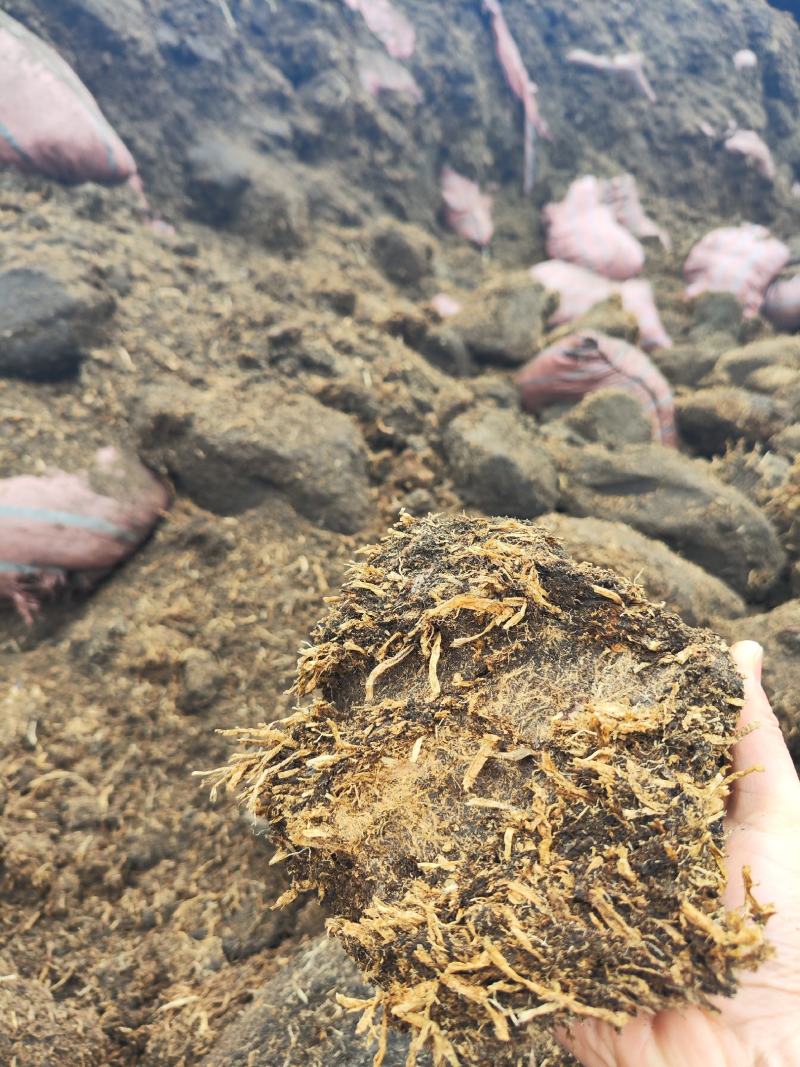 草炭土容器种植土厂家直销鑫立里