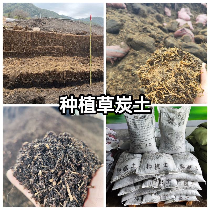 草炭土容器种植土厂家直销鑫立里