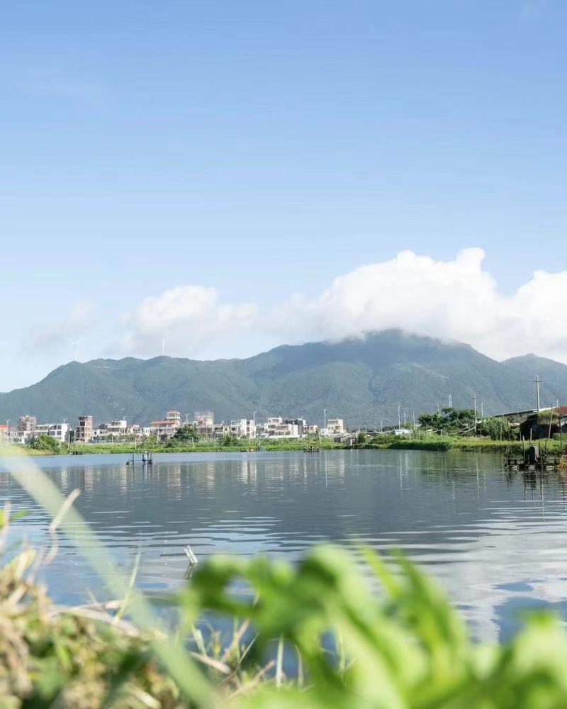 无盐淡干原味烤虾、汕头虾干、即食零食海鲜干货、干虾