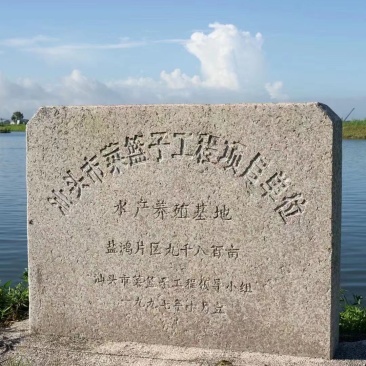 无盐淡干原味烤虾、汕头虾干、即食零食海鲜干货、干虾
