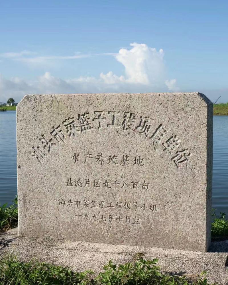 无盐淡干原味烤虾、汕头虾干、即食零食海鲜干货、干虾