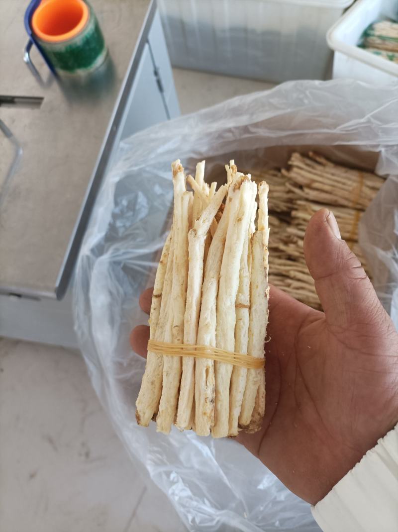 北沙参有货，