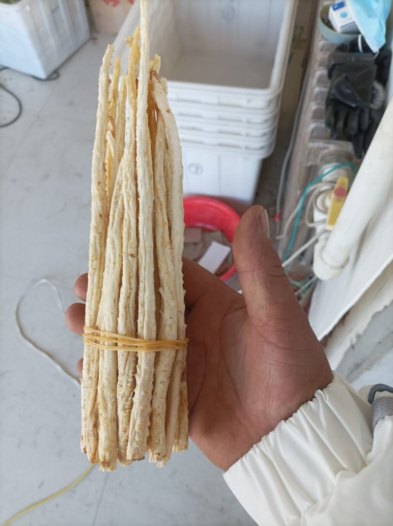 北沙参有货，