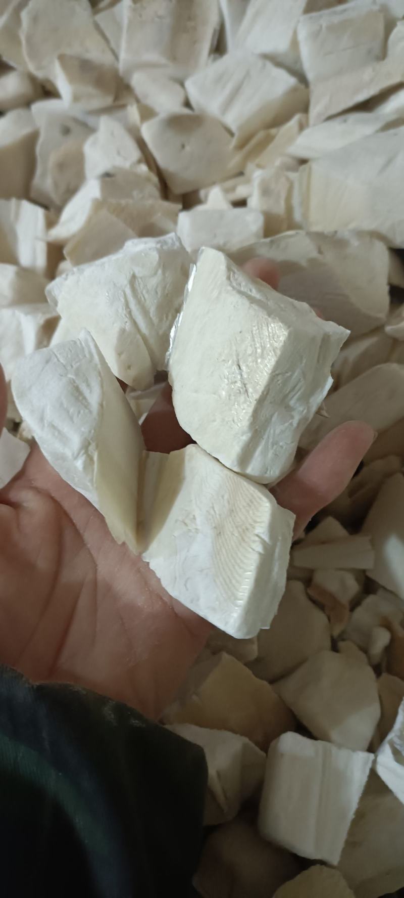 乌贼骨，选货，切段，大货供应，欢迎各位老板选购
