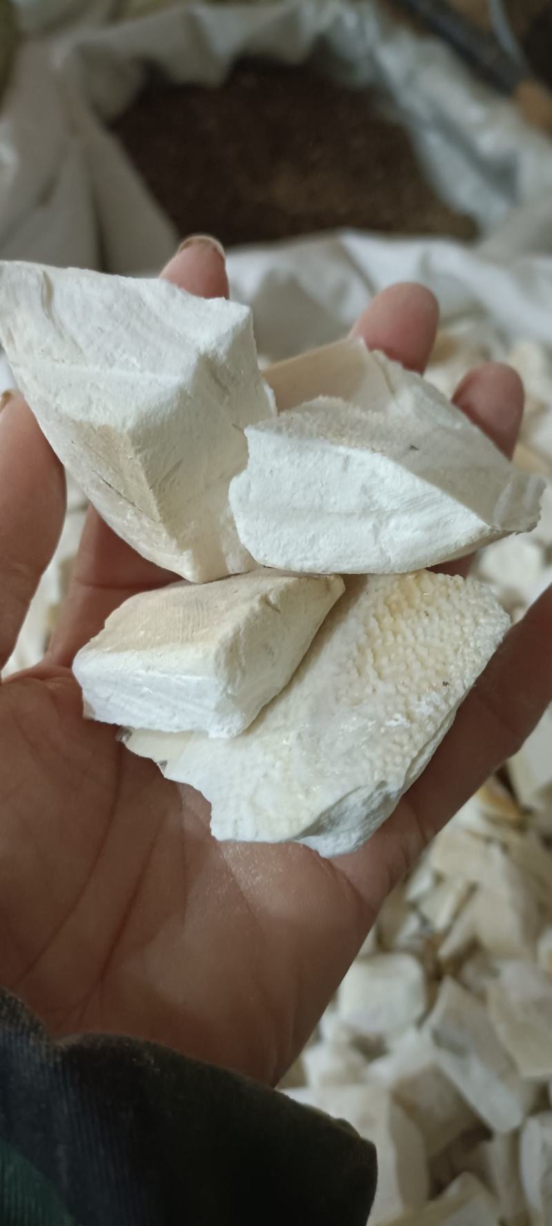 乌贼骨，选货，切段，大货供应，欢迎各位老板选购