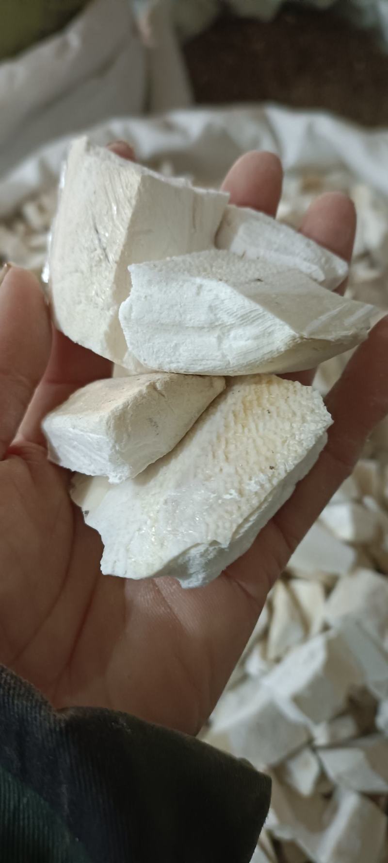 乌贼骨，选货，切段，大货供应，欢迎各位老板选购