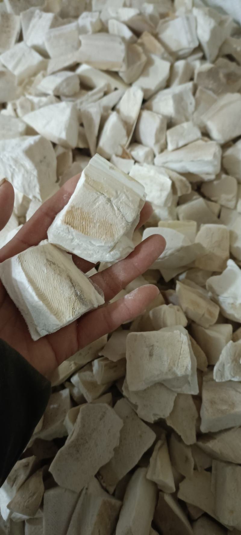 乌贼骨，选货，切段，大货供应，欢迎各位老板选购