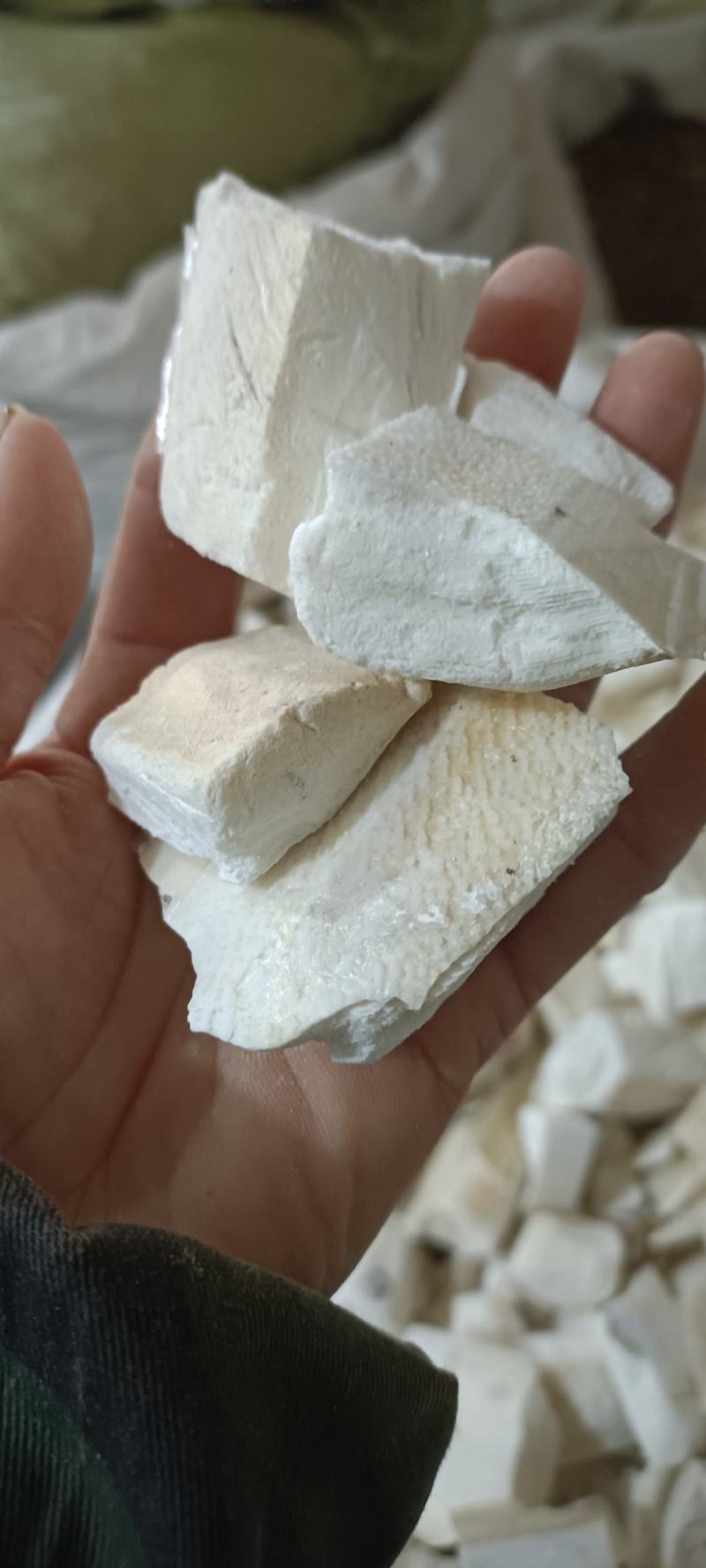 乌贼骨，选货，切段，大货供应，欢迎各位老板选购