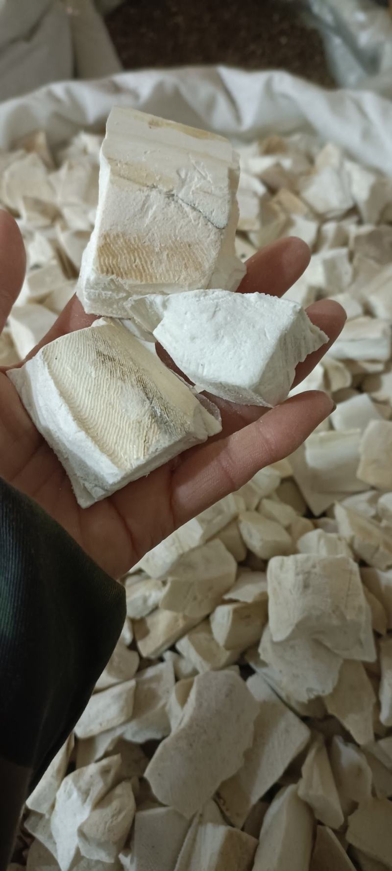 乌贼骨，选货，切段，大货供应，欢迎各位老板选购