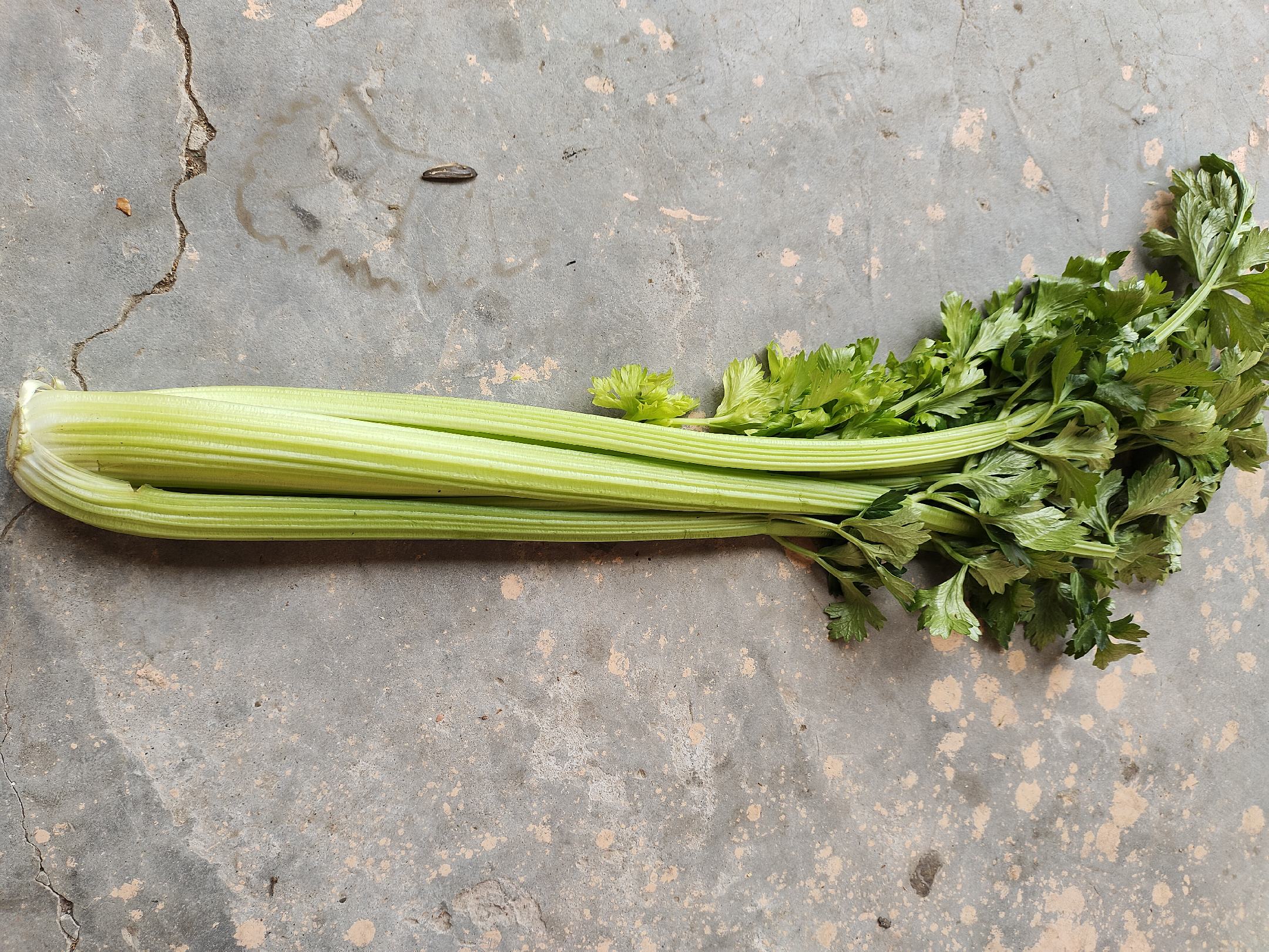 西芹特写，展示其绿色茎叶结构