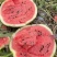 精品广西甜王西瓜🍉产地直发🍉品质保证🍉诚信第一