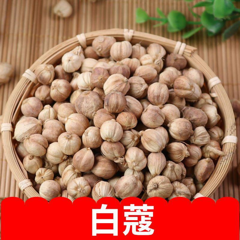 精品印度尼西亚白豆蔻，皮薄味香，欢迎大家前来选购。