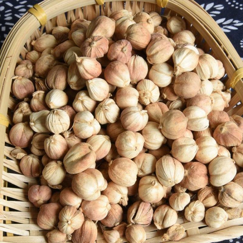 精品印度尼西亚白豆蔻，皮薄味香，欢迎大家前来选购。