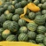 精品广西甜王西瓜🍉产地直发🍉品质保证🍉诚信第一