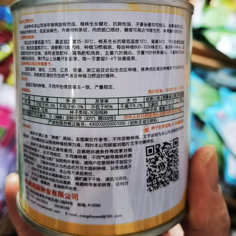 湘株金品翠宝甜瓜陕北芝麻蜜瓜种子绿皮香瓜脆瓜种籽大田阳台