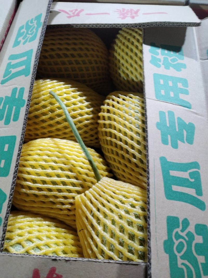 二十五号小密