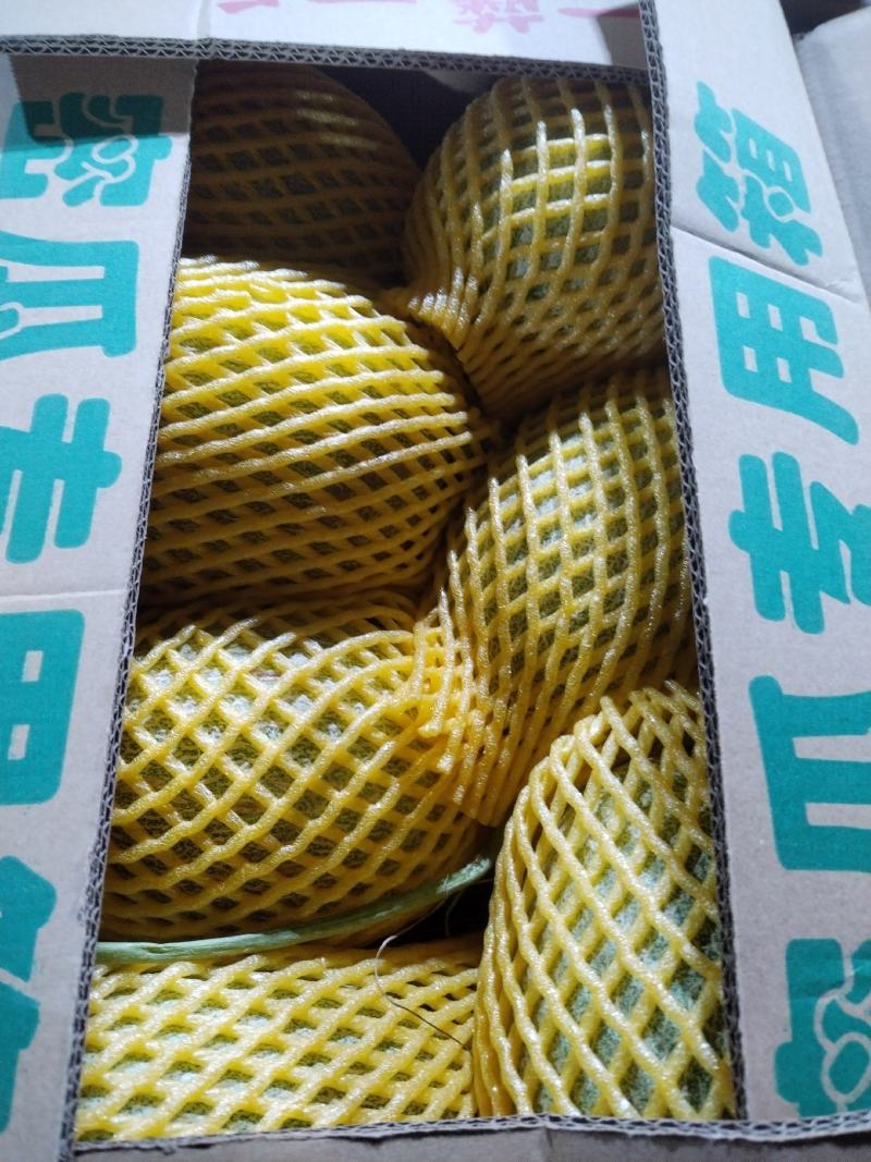 二十五号小密