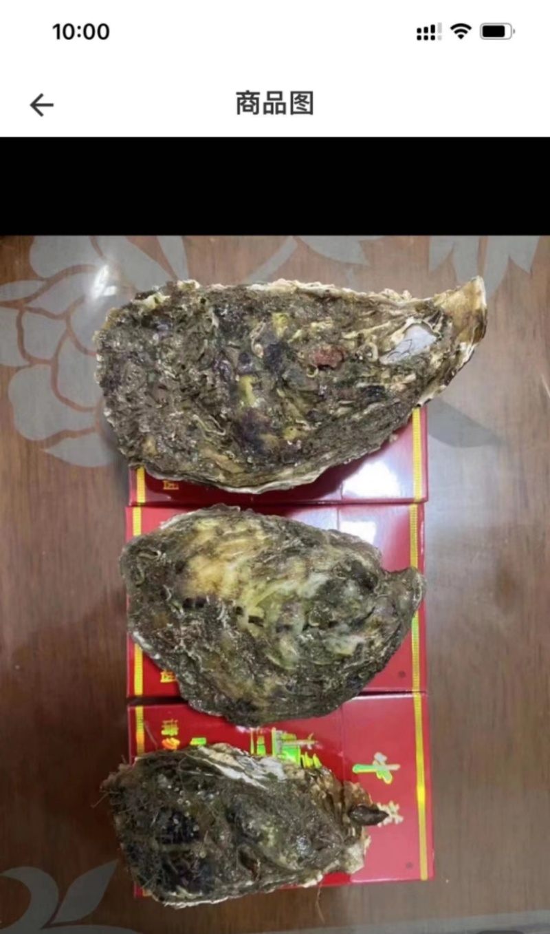 生蚝鲜活带壳牡蛎烧烤店半壳海蛎子烧烤半壳批发
