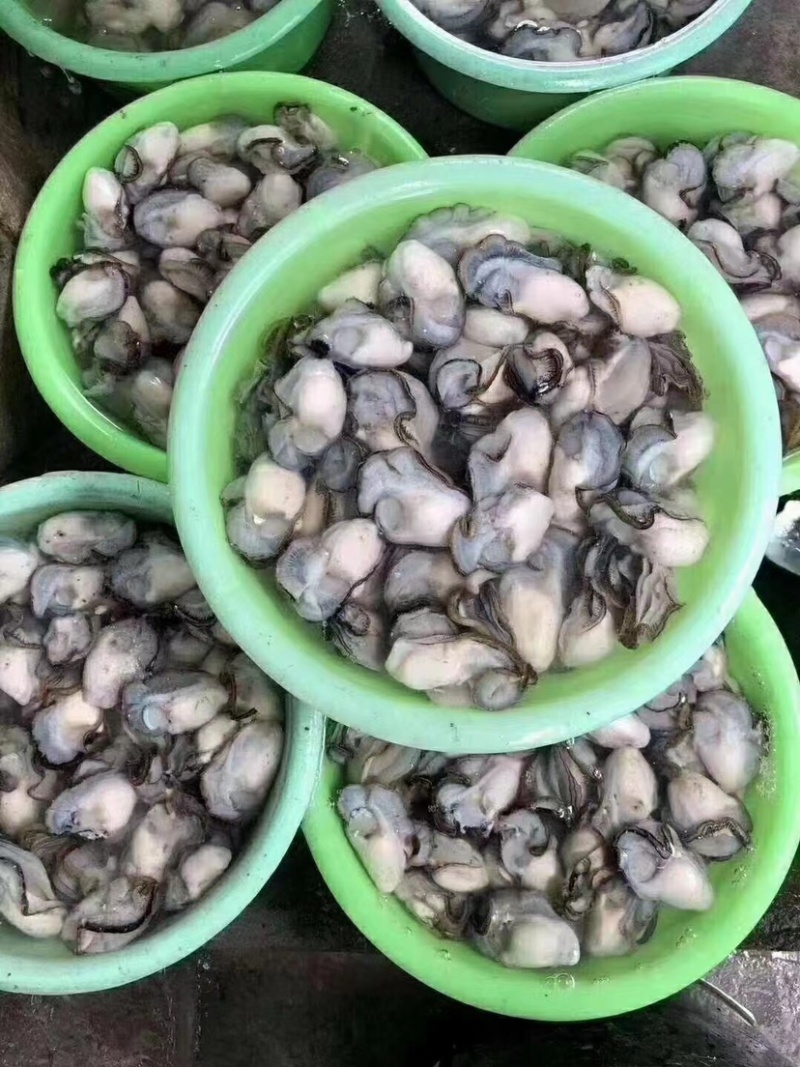 生蚝当天鲜开牡蛎纯蚝肉每个肥度饱满可口