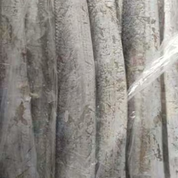 大量批发舟山带鱼，鲳鱼