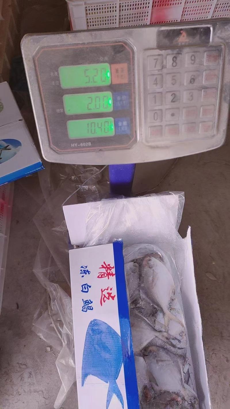 大量批发舟山带鱼，鲳鱼