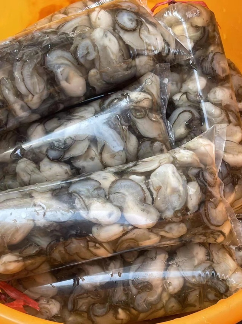 生蚝当天鲜开牡蛎纯蚝肉每个肥度饱满可口