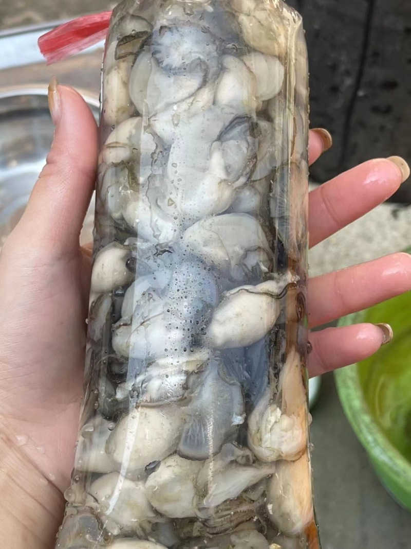 生蚝当天鲜开牡蛎纯蚝肉每个肥度饱满可口