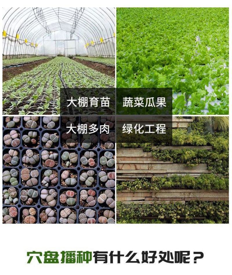 育苗穴盘育苗盘托盘批发加厚林木蔬菜多肉扦插盘秧苗盘草莓育