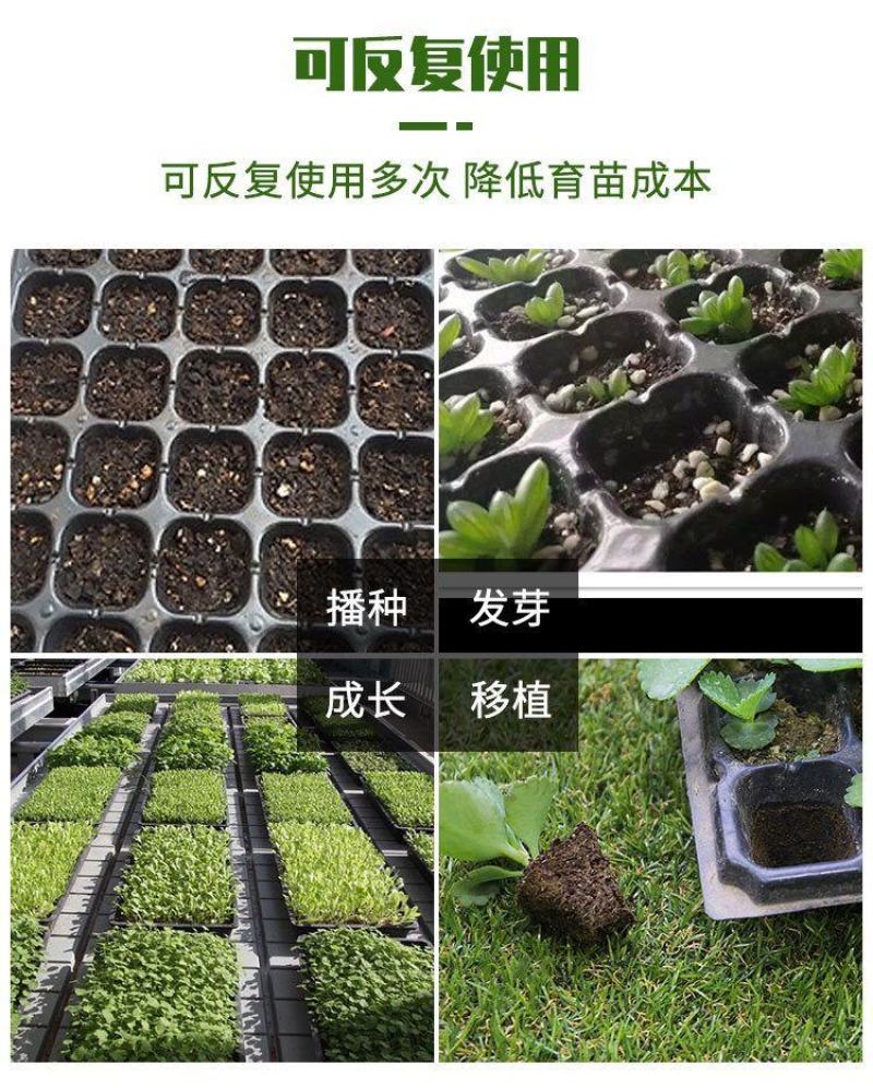 育苗穴盘育苗盘托盘批发加厚林木蔬菜多肉扦插盘秧苗盘草莓育