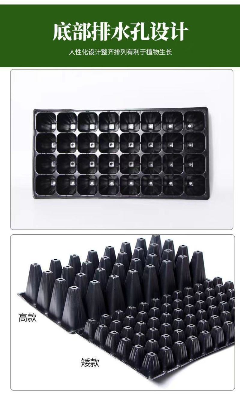 育苗穴盘育苗盘托盘批发加厚林木蔬菜多肉扦插盘秧苗盘草莓育