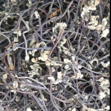 【推荐】云南曲靖精品蕨菜干，量大价优，欢迎新老顾客咨询
