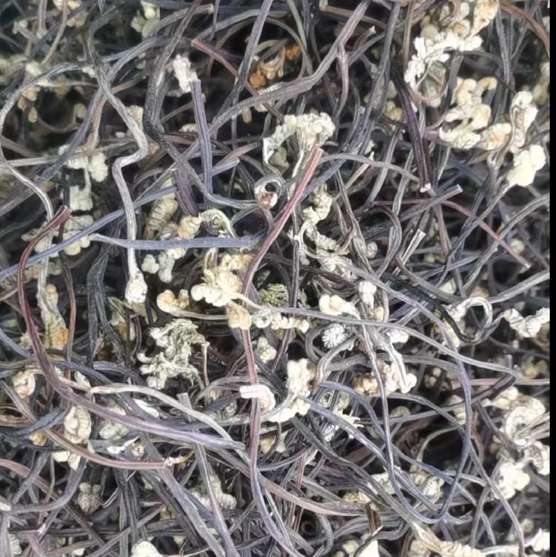 【推荐】云南曲靖精品蕨菜干，量大价优，欢迎新老顾客咨询