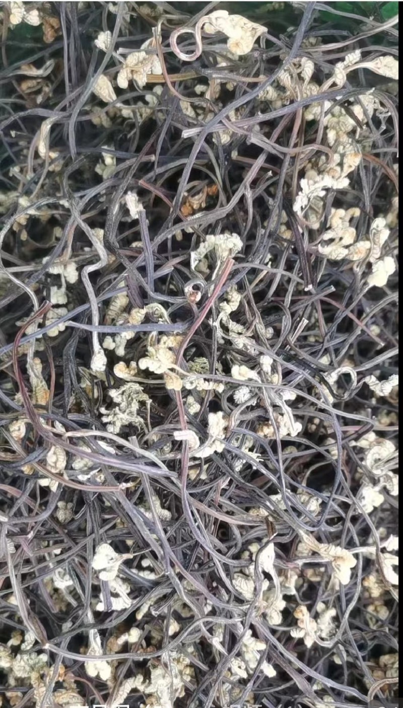 【推荐】云南曲靖精品蕨菜干，量大价优，欢迎新老顾客咨询