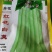 正宗早熟红花白荚四季豆种子挂满架菜豆高产肉厚无筋纤维少。