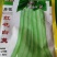 正宗早熟红花白荚四季豆种子挂满架菜豆高产肉厚无筋纤维少。