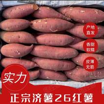 【精品推荐】济薯26红薯香甜粉糯供电商超市等欢迎致电