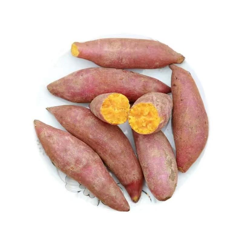 【精品推荐】济薯26红薯香甜粉糯供电商超市等欢迎致电