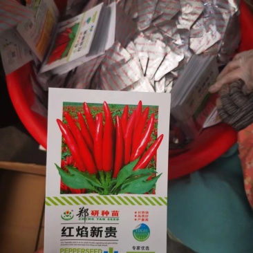 朝天椒种子干辣椒籽小米辣椒高产四季特辣种籽长势强品质好