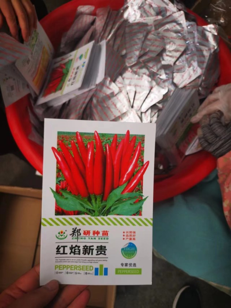 朝天椒种子干辣椒籽小米辣椒高产四季特辣种籽长势强品质好