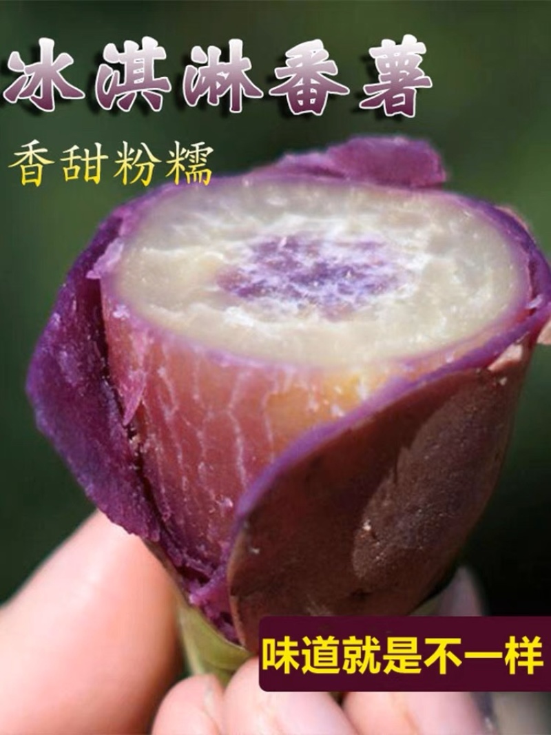 现货秒发高产一点红薯苗冰淇淋薯苗山芋地瓜苗脱毒种苗番薯苗