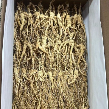 长白山高年头林下参吃货，售后无忧