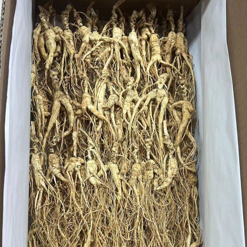 长白山高年头林下参吃货，售后无忧