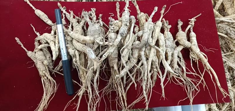 长白山高年头林下参吃货，售后无忧