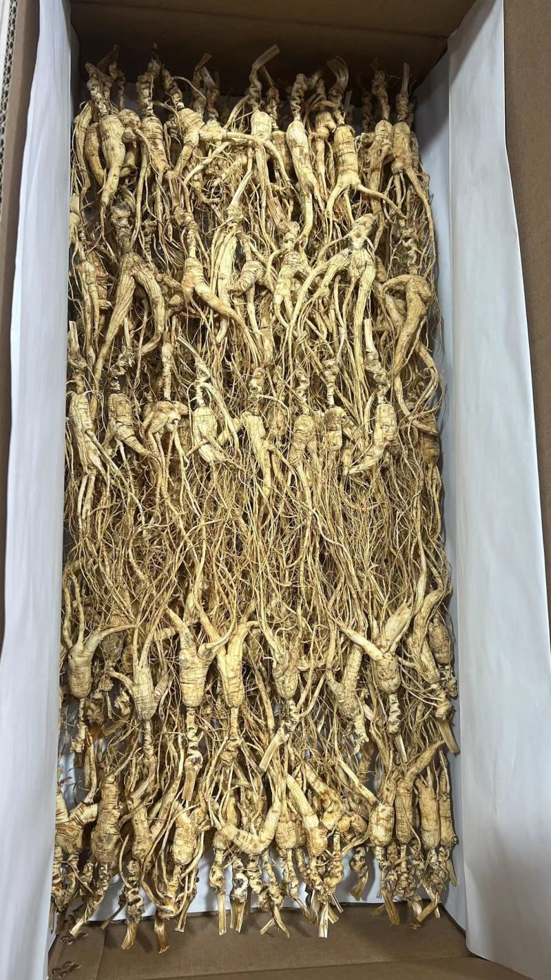 长白山高年头林下参吃货，售后无忧